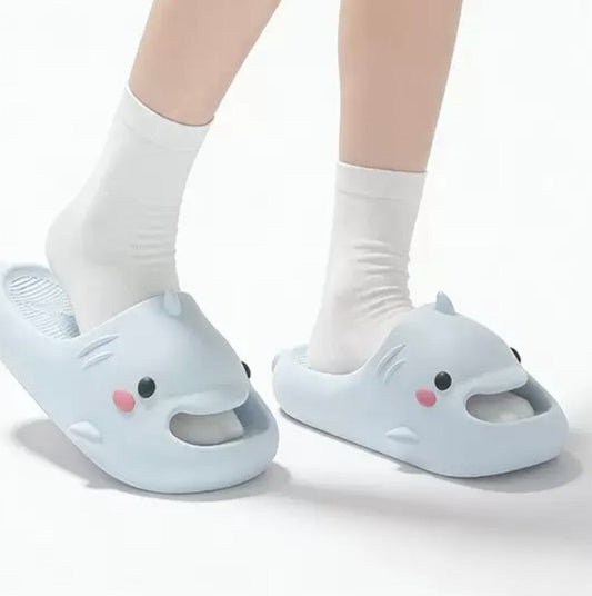 Dolphin Slides